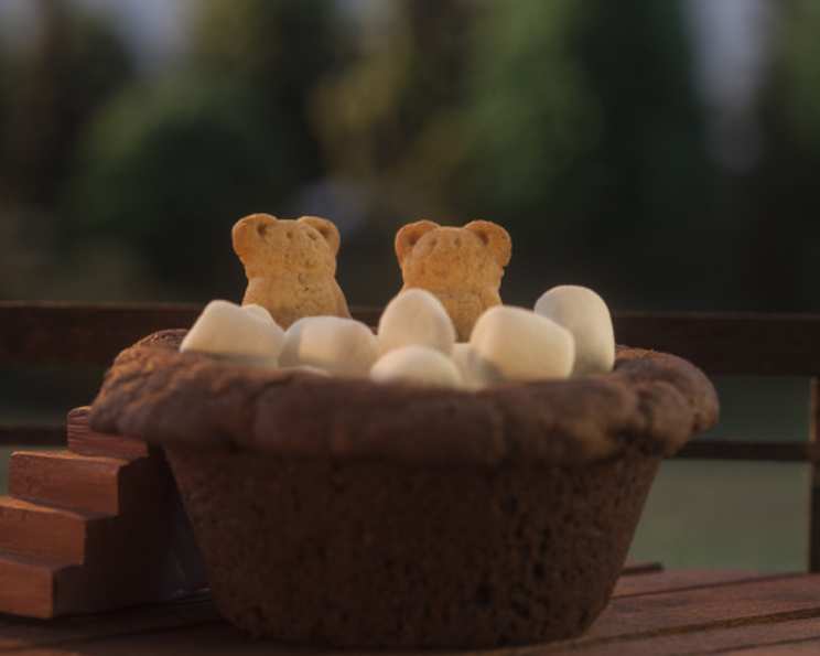 Bear treats new arrivals